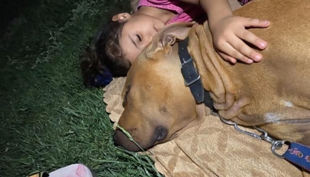 Asiye’nin doktorundan acı itiraf!