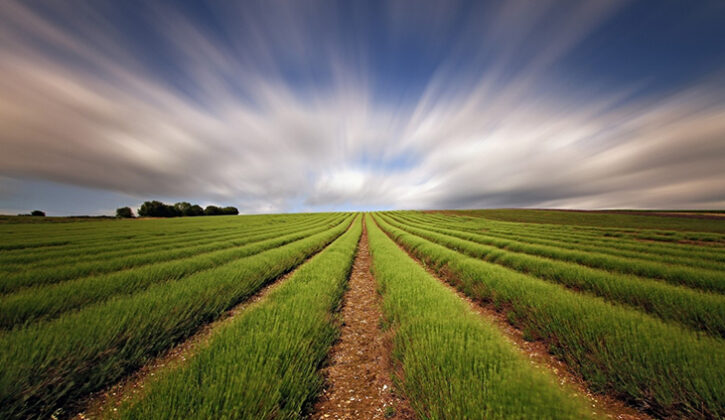 Mustafakemalpaşa’da 7.000 m² tarla satılıktır