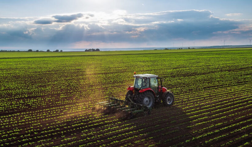 Mudanya’da 4.205 m² tarla satılıktır