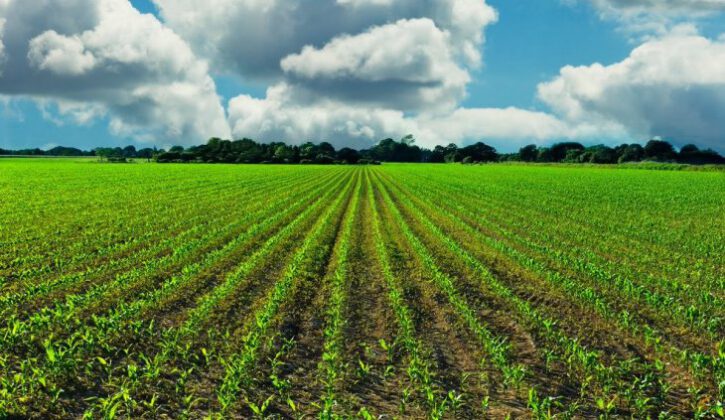 İnegöl’de 3.900 m² tarla satılıktır