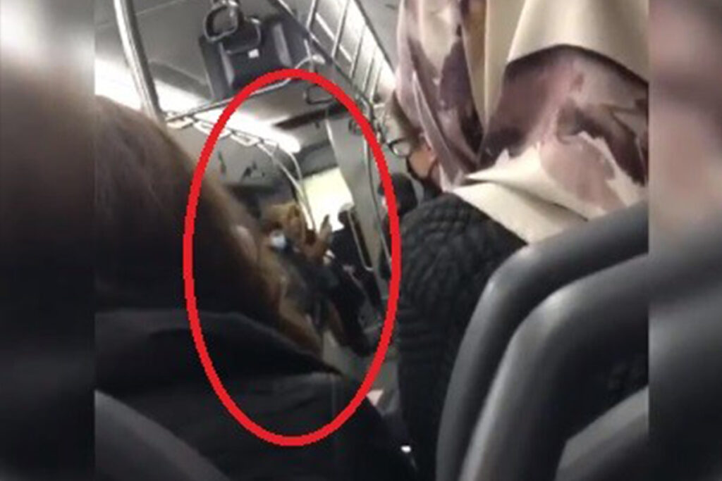 Bursa’da maskesiz yolcu terörü kamerada!