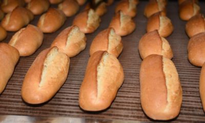BESAŞ, kapasitesini yüzde 41 arttırdı