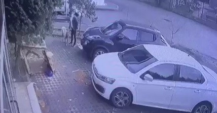 Köpeği kamyonetle böyle çaldılar