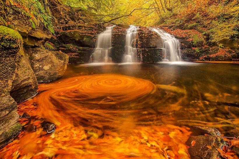 Görsel şölen: Türkiye’de en çok Bursa’da var