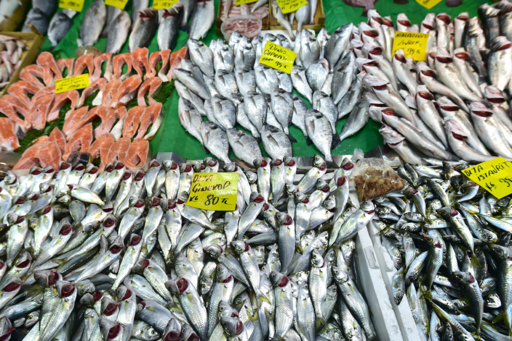 Fırtına en çok lüfer getirdi