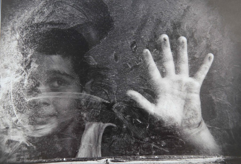 Ödüllü fotoğraflar Nilüfer’de