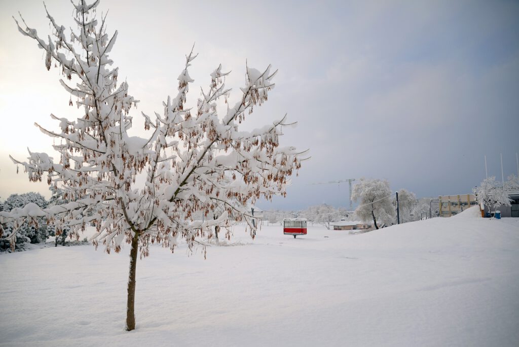 Beyaz örtü üniversiteye çok yakıştı
