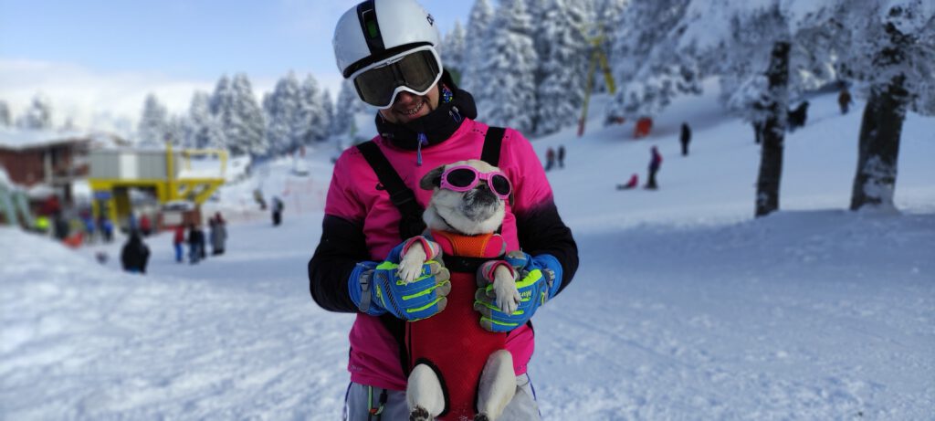 Uludağ’da bu otele gelen hayvanlar 5 yıldızlı tatil yapıyor