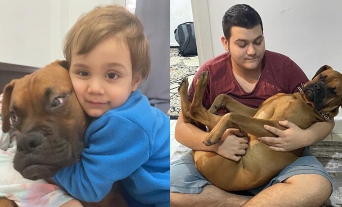 İstanbul’da dehşet! Pitbull zannetti, silahla vurdu