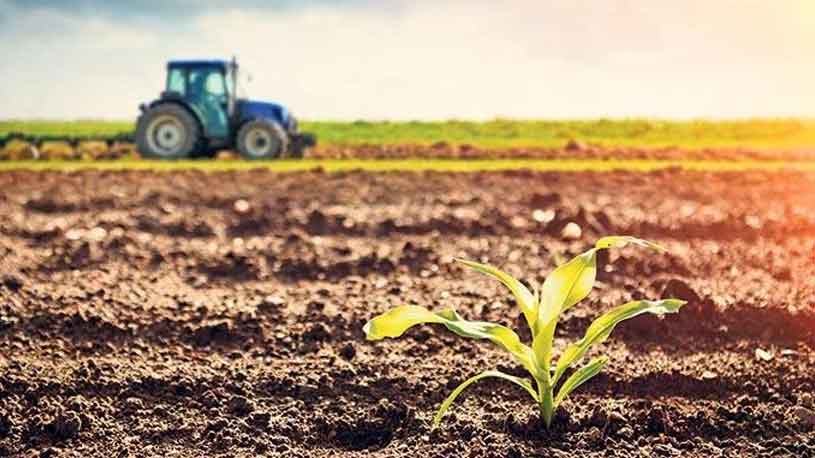 Kestel’de 23.200 m² tarla satılıktır