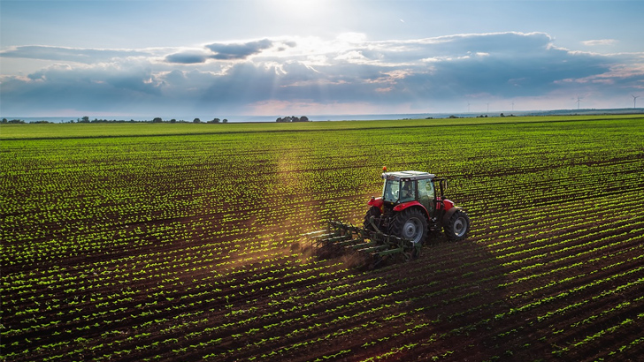Karacabey’de 25.660 m² tarla mahkemeden satılıktır