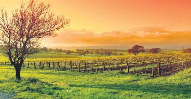 İnegöl’de 850 m² tarla satılıktır