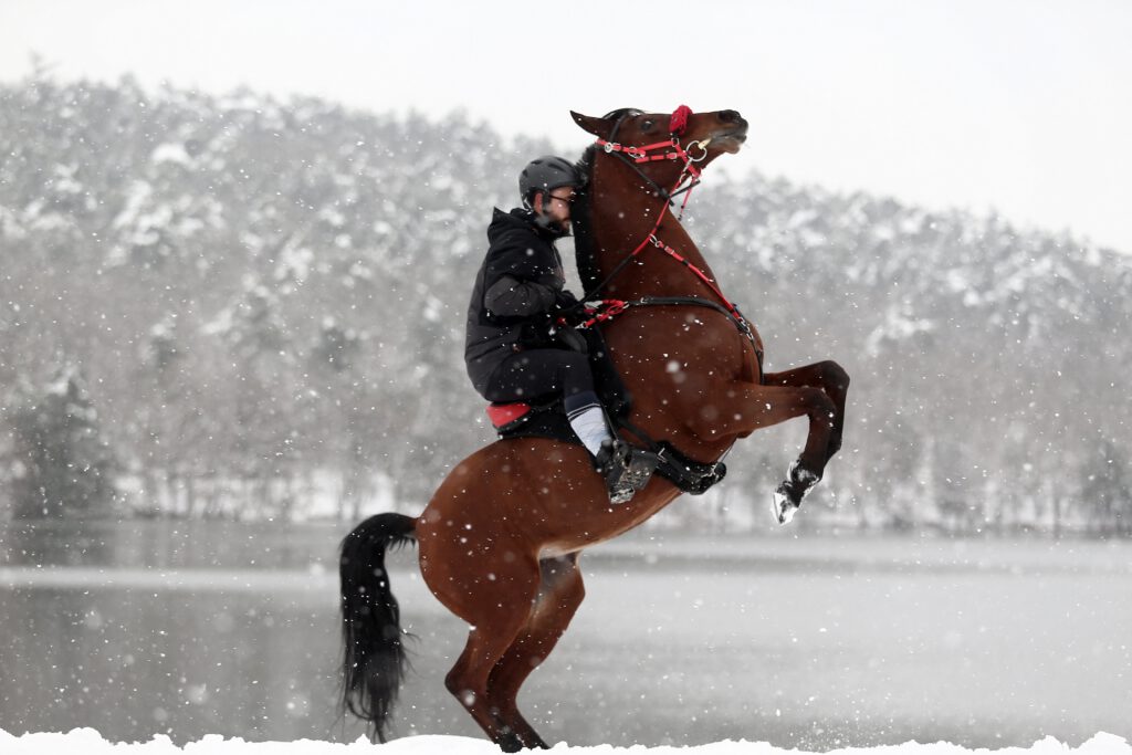 Karlar üstünde dört nala özgürlük