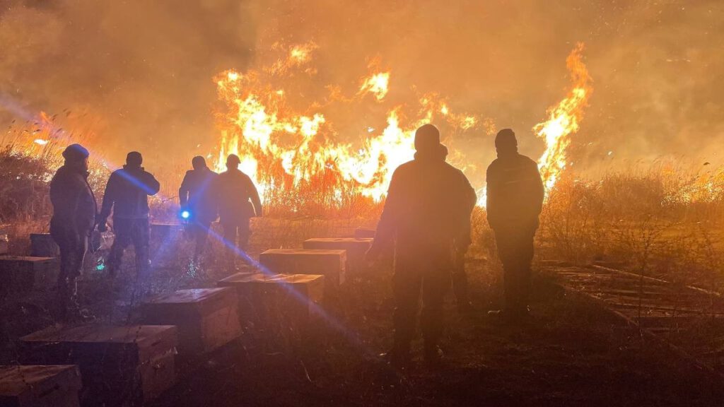 Bursa’da otluk alanda çıkan yangının izleri gün ağarınca ortaya çıktı