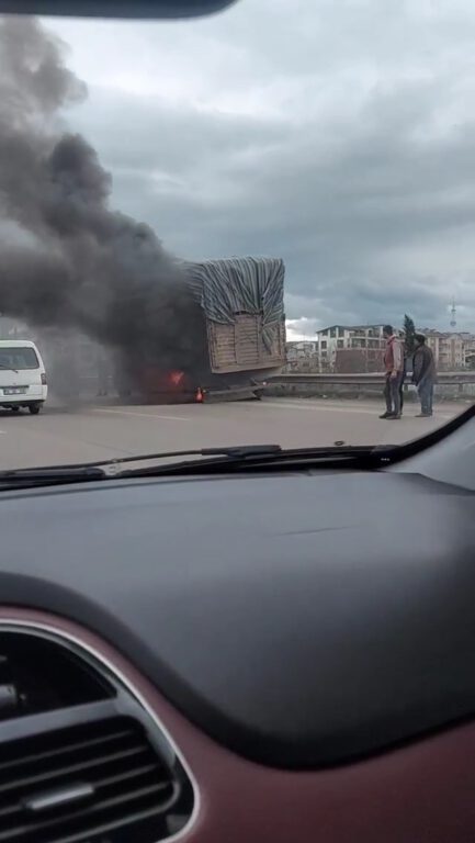 Bursa’da kütük yüklü kamyon alevlere teslim oldu