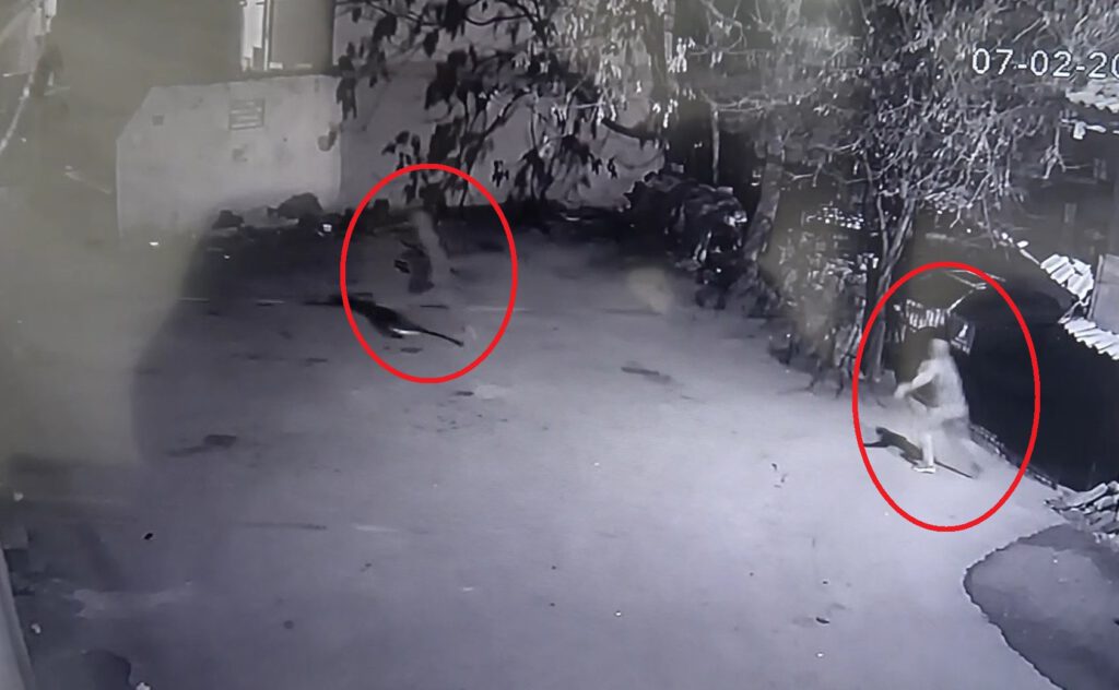 Bursa’da hırsızın cesareti şaşırttı!