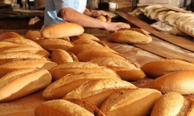 “Bugünkü ekmek ücretlerini Çanakkale şehitleri ödedi”