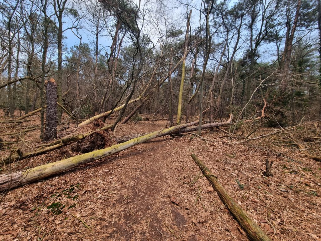Avrupa’yı “Eunice Kasırgası” vurdu: Ölü sayısı yükseliyor