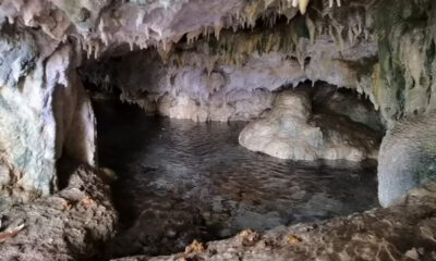 Hayvanlarını otlatırken binlerce yıllık mağarayı buldular!