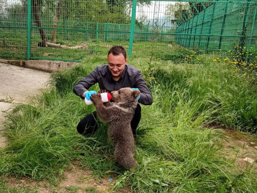 Tedavi edilen 335 hayvan doğaya salındı