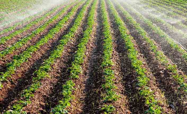 Nilüfer’de 664 m² tarla satılıktır