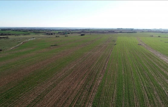 Bursa Karacabey’de 17.250 m² tarla satılıktır