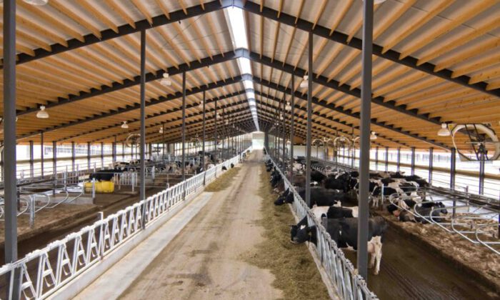 Bursa Karacabey’de 2.210 m² besihane satılıktır
