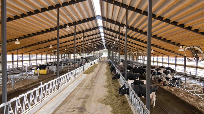 Bursa Yenişehir’de 5.025 m² arsa üzerindeki besihane satılıktır