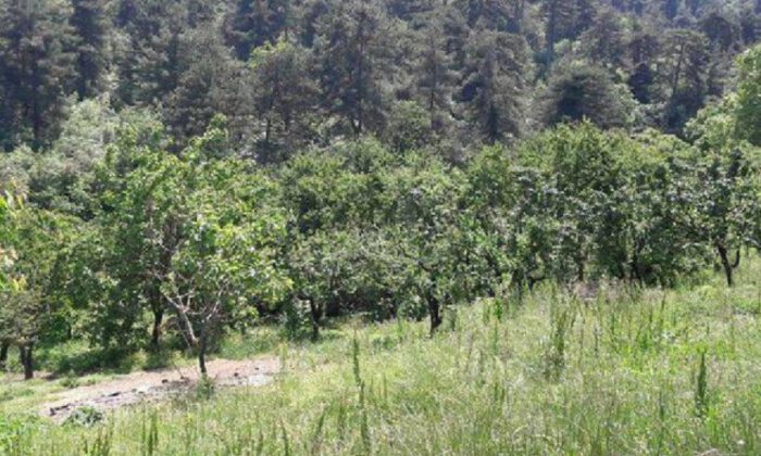 Bursa Nilüfer’de 441 m² arsa satılıktır