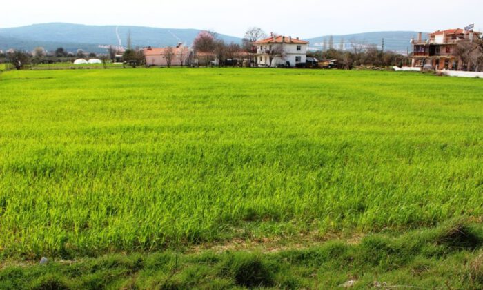 Bursa Karacabey’de 3.300 m² tarlanın 3/8 hissesi SGK’dan satılıktır