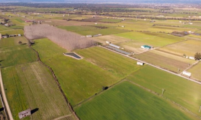 Gemlik Orhaniye’de 9.668 m² arsanın hissesi icradan satılıktır