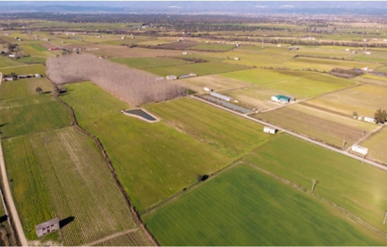 Gemlik Orhaniye’de 9.668 m² arsanın hissesi icradan satılıktır