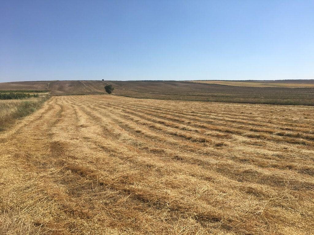 Kilis’te 12 adet tarım arazisi satılacaktır