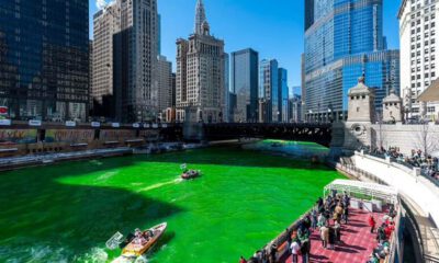 Chicago Nehri yeşillendi