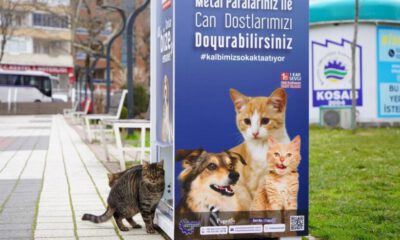 Kestel’de sokak hayvanları için mamamatikler hizmette