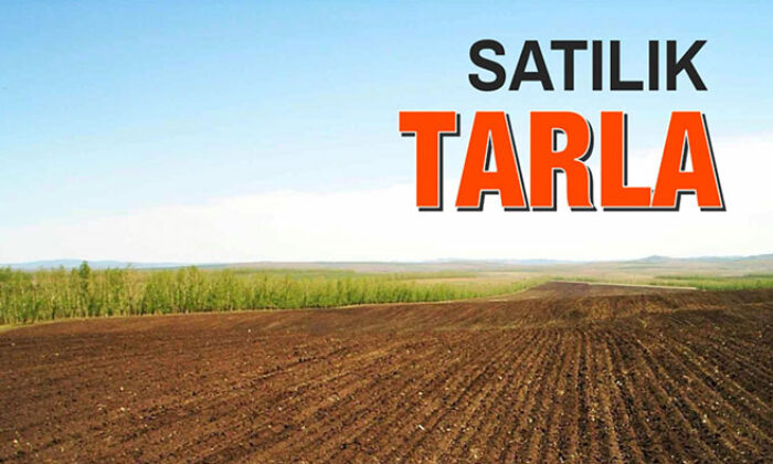 İstanbul Şile’de 5.853 m² tarla satılıktır