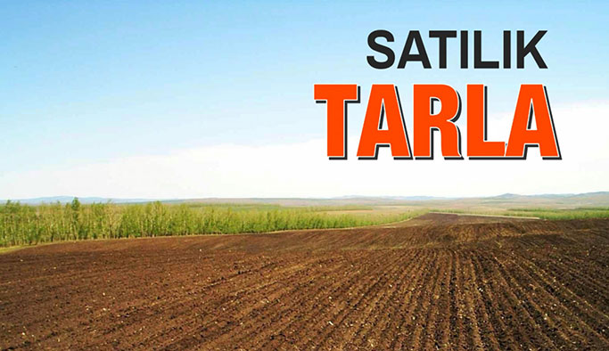 İstanbul Şile’de 5.853 m² tarla satılıktır