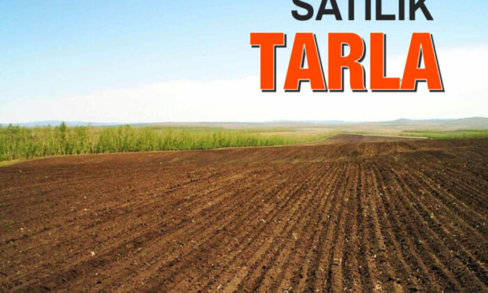 Bursa Kestel’de 7.175 m² tarla satılıktır