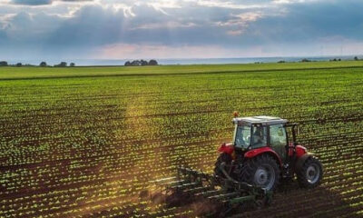 Bursa Mustafakemalpaşa’da 5.550 m² tarla satılıktır (çoklu satış)
