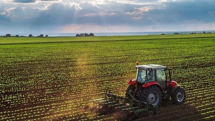 Bursa Mustafakemalpaşa’da 5.550 m² tarla satılıktır (çoklu satış)