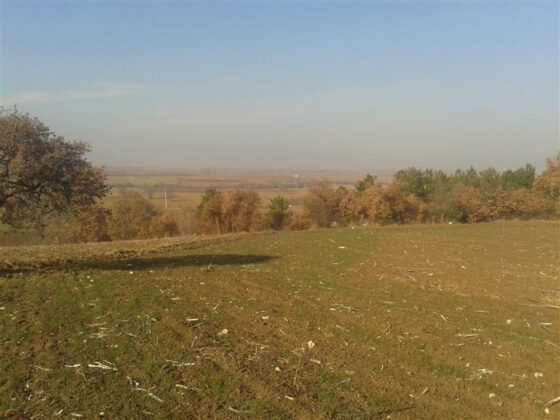 Bursa Yenişehir’de 9.800 m² tarla satılıktır