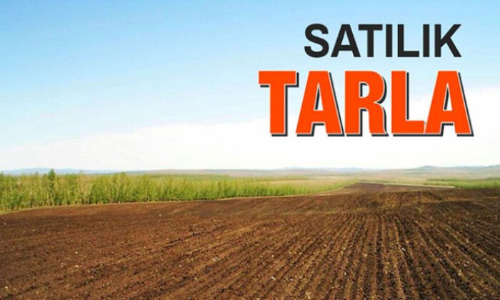 Bursa Yenişehir’de 11.050 m² tarlanın 1/4 hissesi satılıktır (çoklu satış)