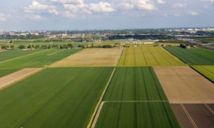Mustafakemalpaşa Belediyesi 47 adet taşınmazı ihale usulü ile kiraya verecektir