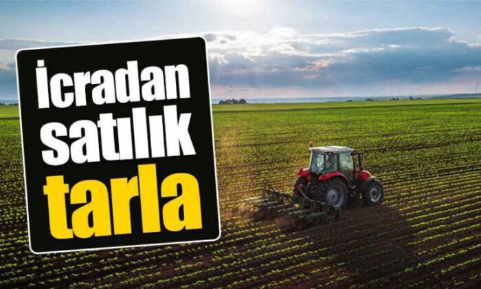 Bursa Yenişehir’de 1.488 m² tarla satılıktır (çoklu satış)