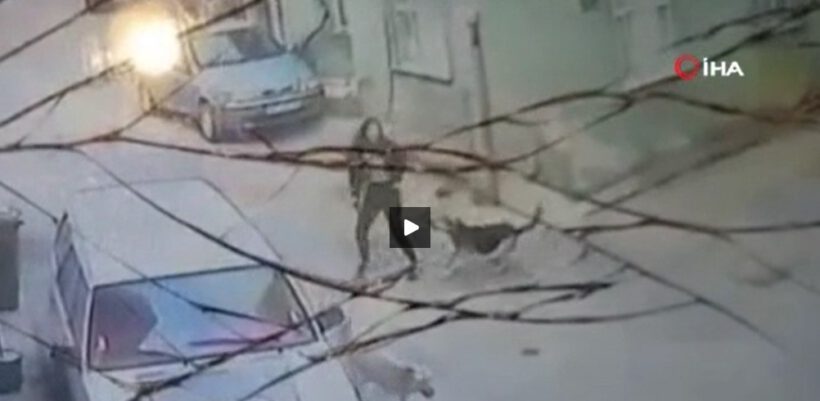 Okula gitmek isteyen genç kız sokak köpeğinin saldırısına uğradı