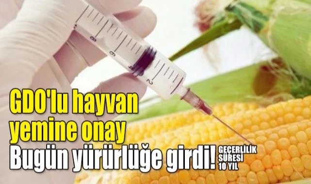 GDO’lu hayvan yemine onay çıktı