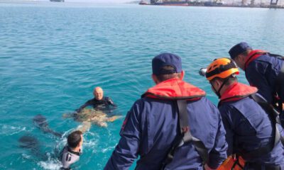 İskenderun Körfezi’nde bitkin bulunan Caretta Caretta koruma altına alındı