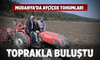 Mudanya Belediyesi ayçiçek tohumlarını toprakla buluşturdu