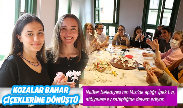 Kozalar bahar çiçeklerine dönüştü