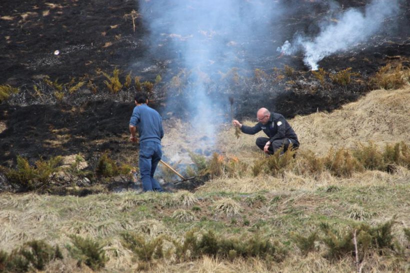 Tiktok akımı için mesire alanını yaktılar